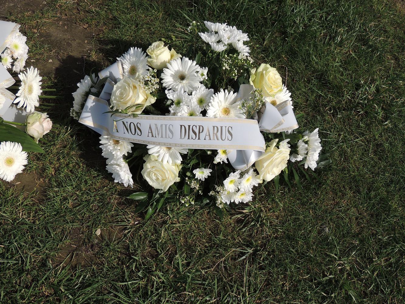 2019 09 11 TOULON 37 EME ANNIVERSAIRE DE LA CATASTROPHE DE MANNHEIM 11 09 1982 (10).JPG -           